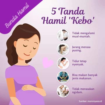hamil kebo