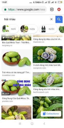 trái nhàu tốt ntn?