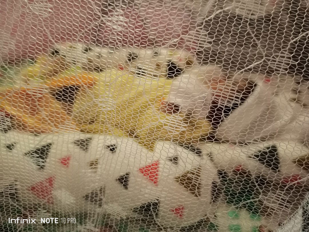 Alwiyatul Jannah profile icon