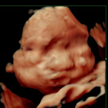 melinda daeli profile icon