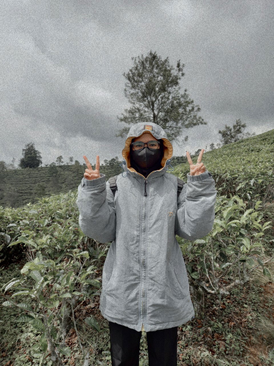 Chayene Regina profile icon