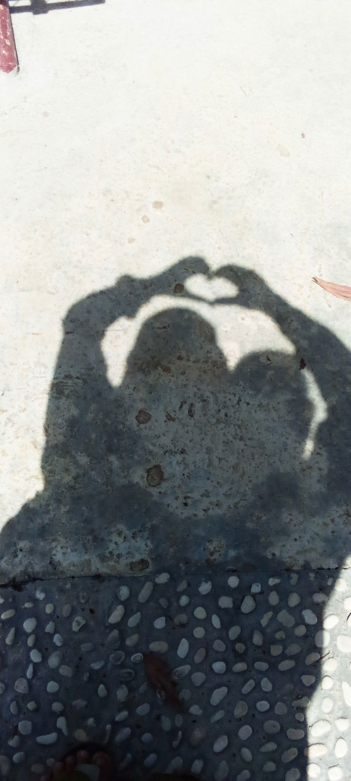 Sri Lutfi profile icon