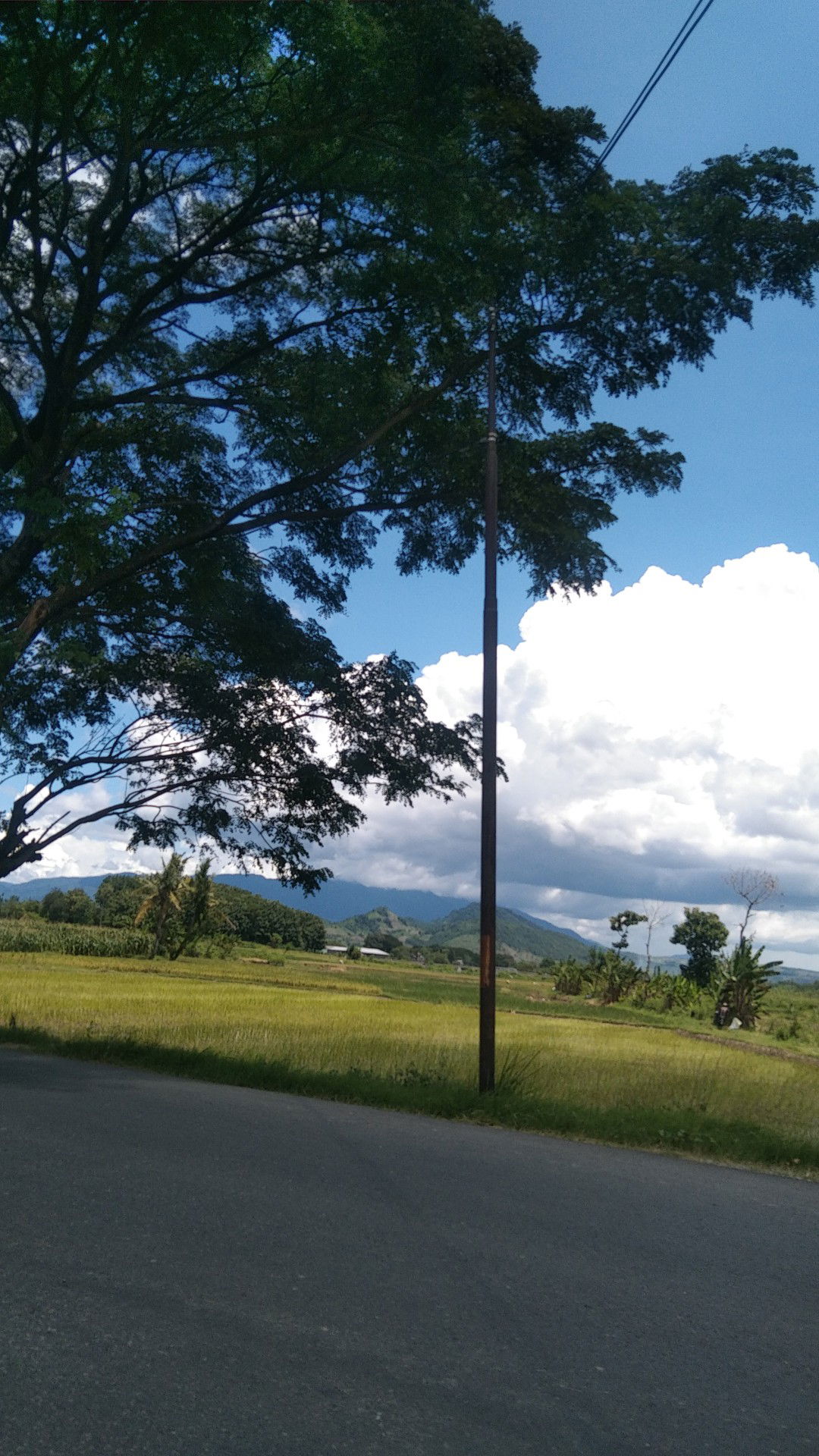 Yunita Amalia profile icon