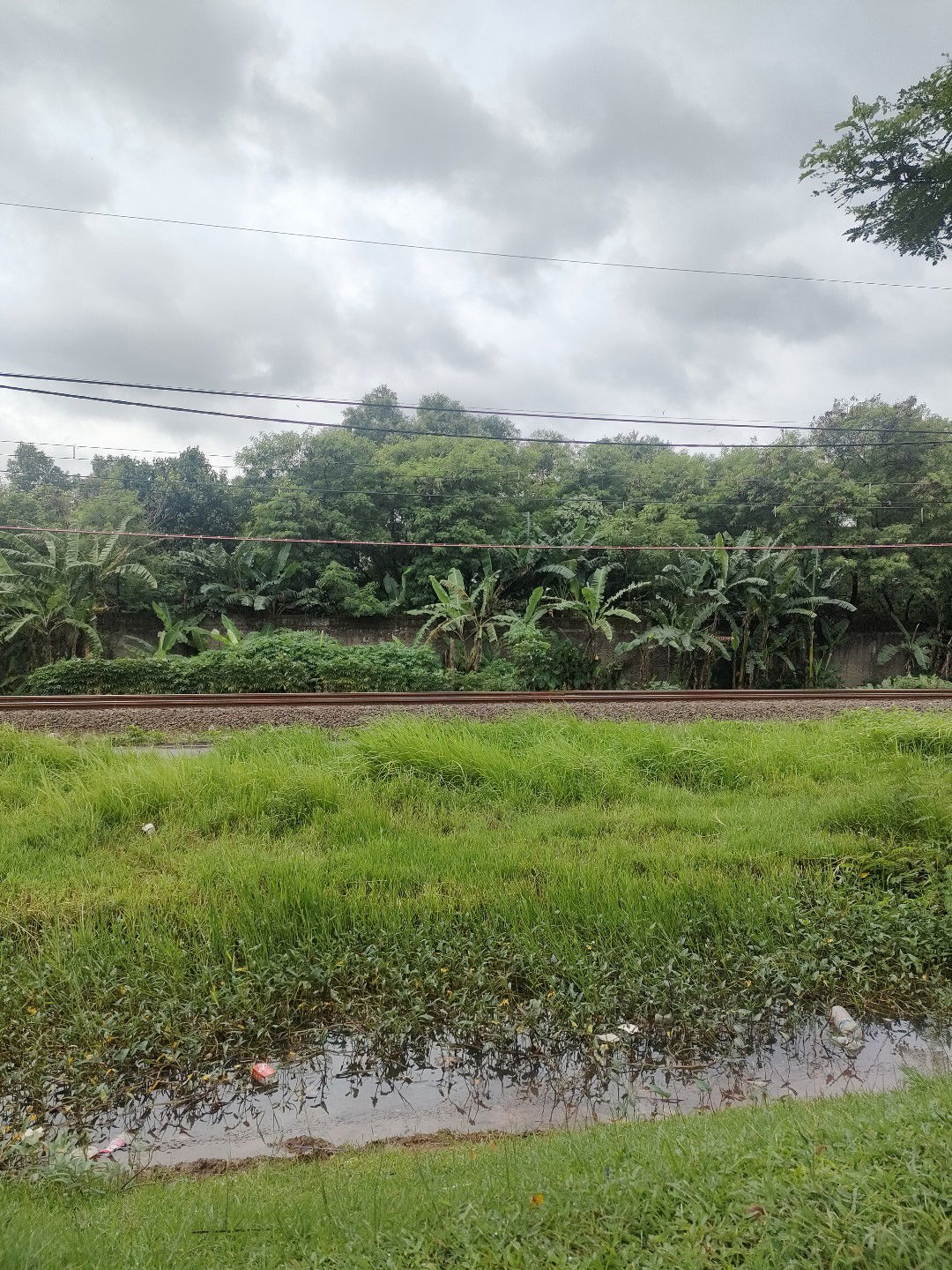 Silfi Indriyani profile icon