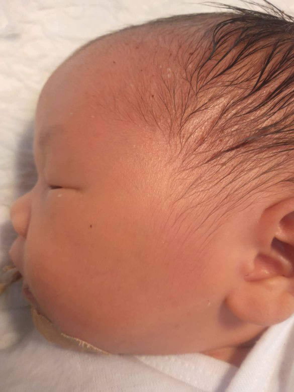 Zhab Paiz profile icon