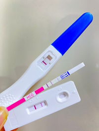 Nattida Singtong profile icon