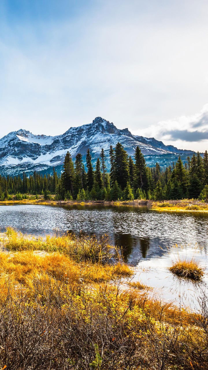 patcharin​mongkol profile icon