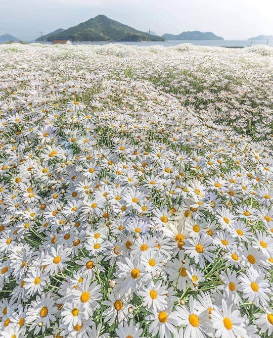 ลมหนาว profile icon