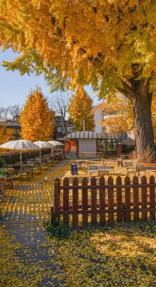 arrrrzaaaaa profile icon