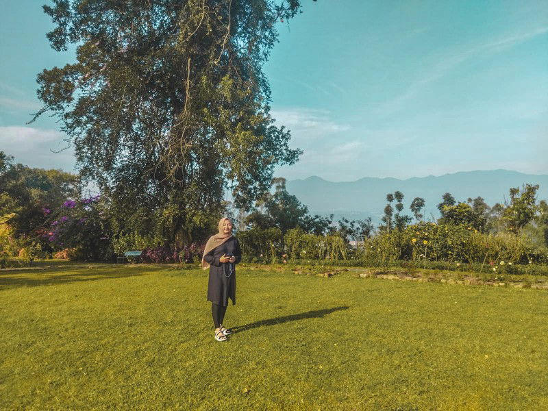 Devie Nurutari profile icon