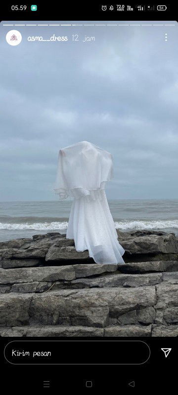 Zulfa Arini profile icon