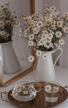 Mufidah Farah profile icon