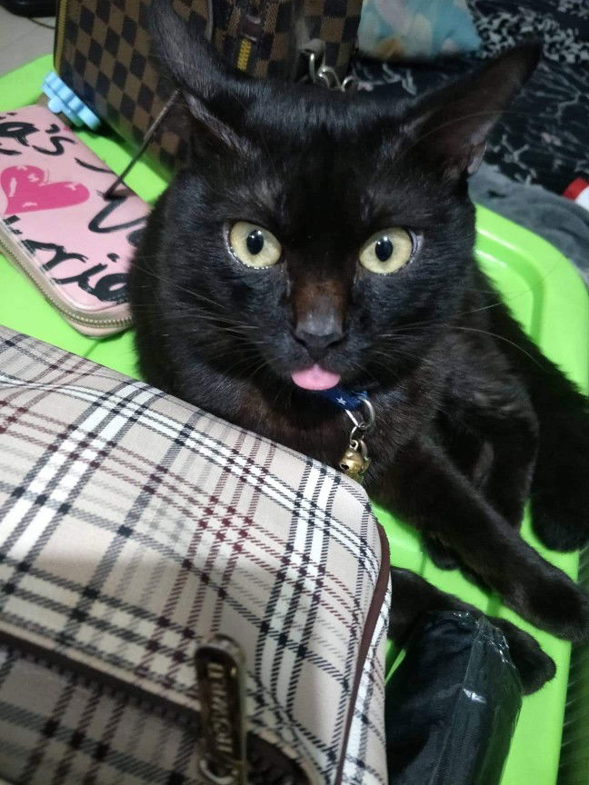 Anne Marie profile icon