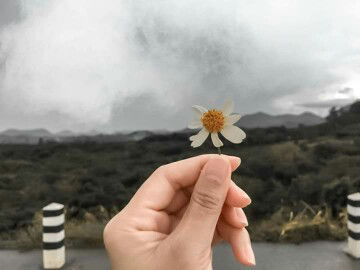 คุณแม่คนสวย profile icon