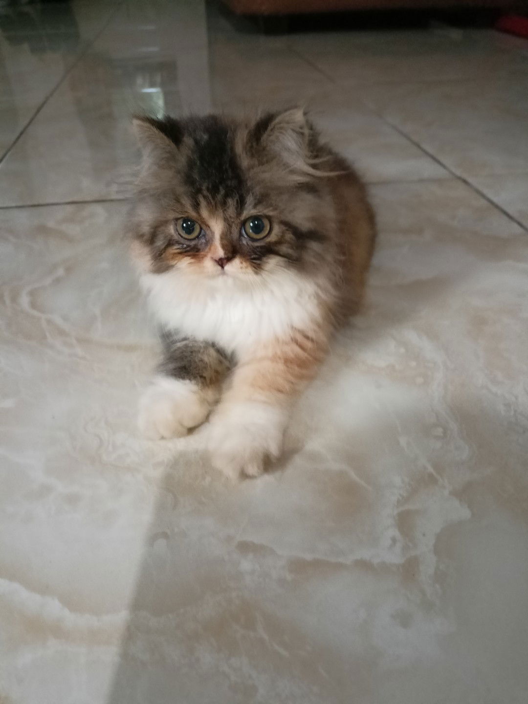 Eka Setyaning profile icon