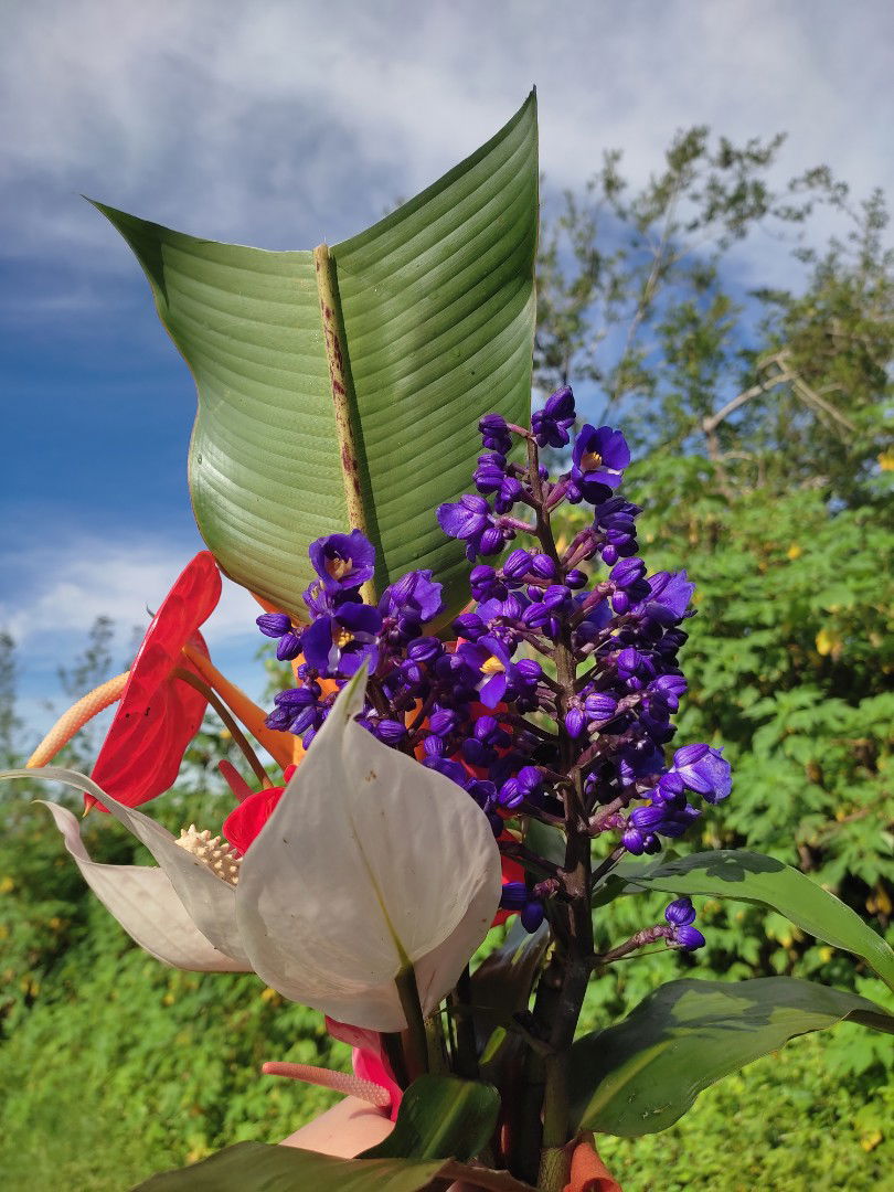 Norjanah Harold profile icon