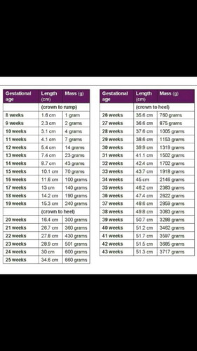 แม่สามีชอบบอกว่าน้ำหนักลูกเราน้อยเกินไป