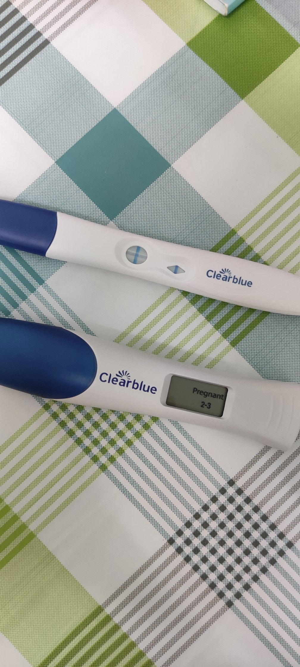 PikaAlip profile icon