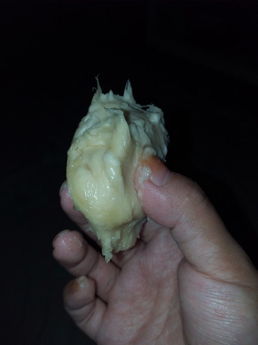 induksi duren