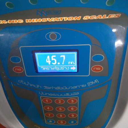 11 สัปดาห์ 2 วัน