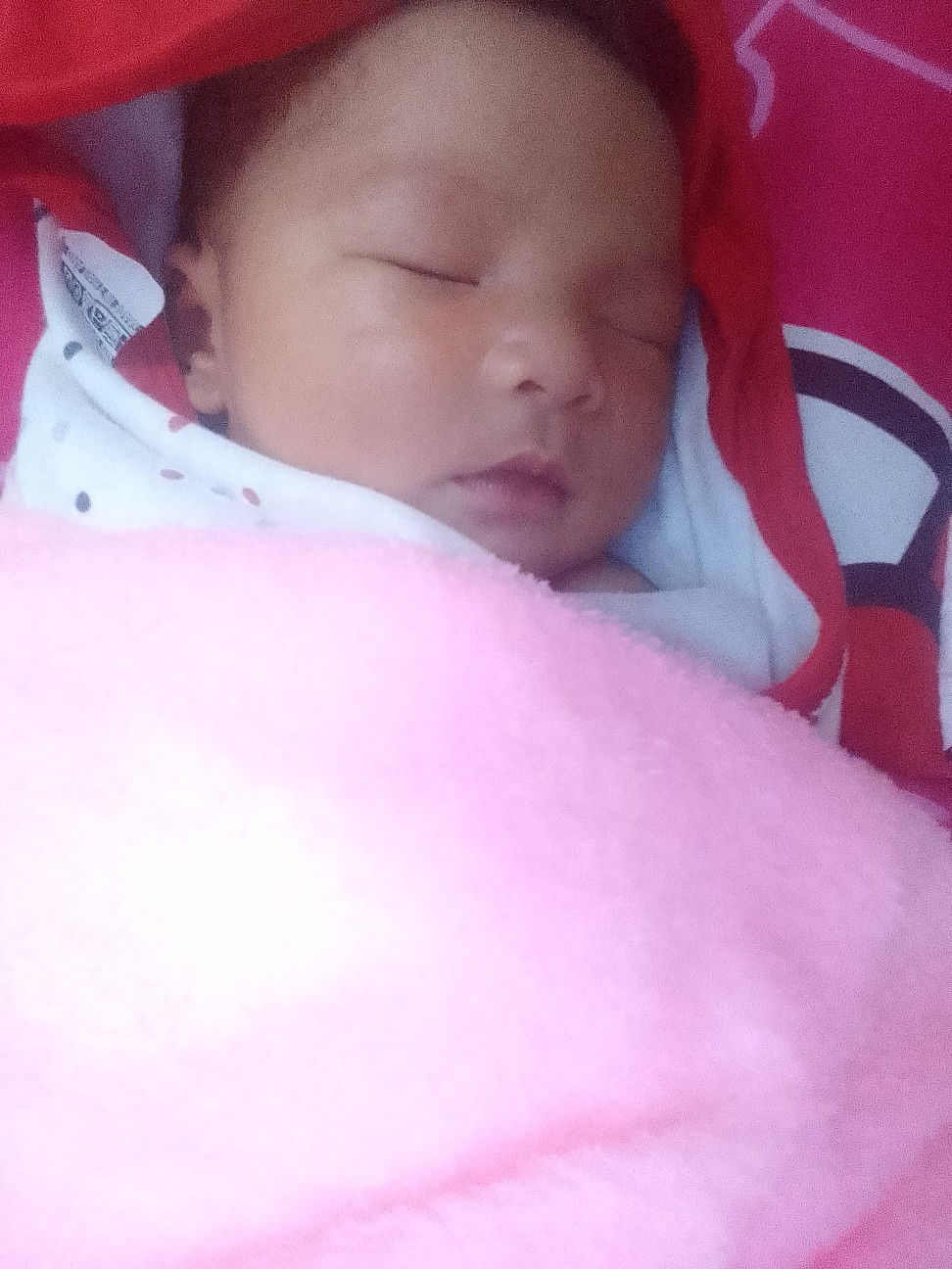 Nursarinee Karee profile icon