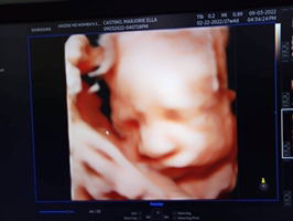 Marjorie ella castino profile icon