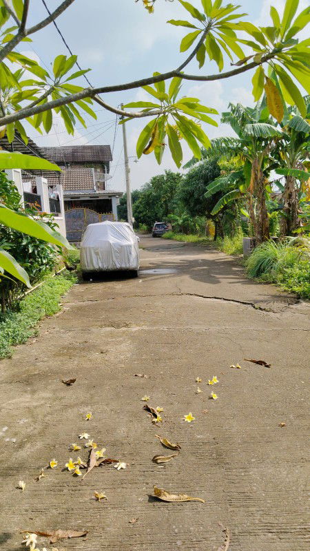 ifatullah profile icon