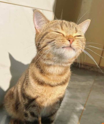 April Putri profile icon