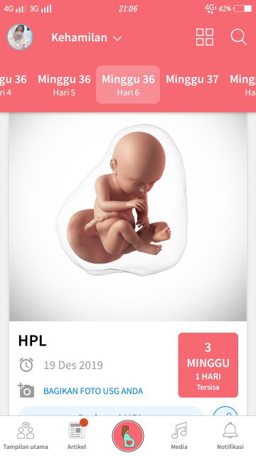 37 weeks