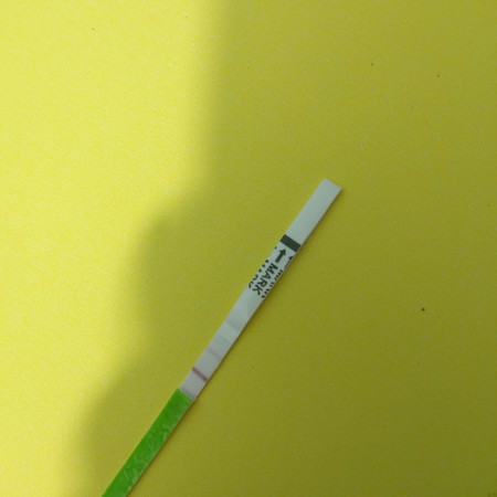 เรื่องไข่ตก กับป้าแดง