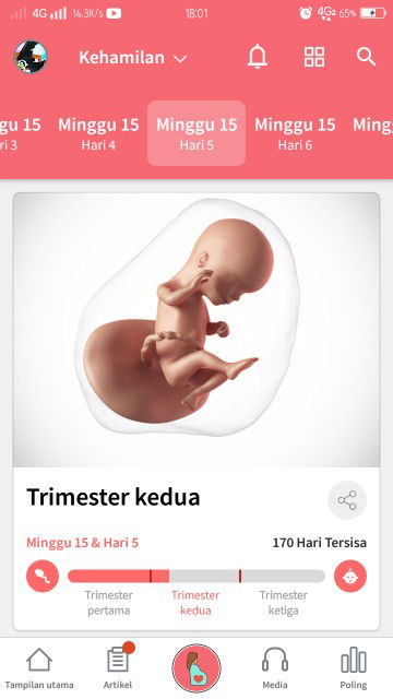 kehamilan