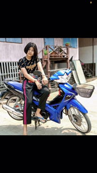 เบญจมาศ profile icon