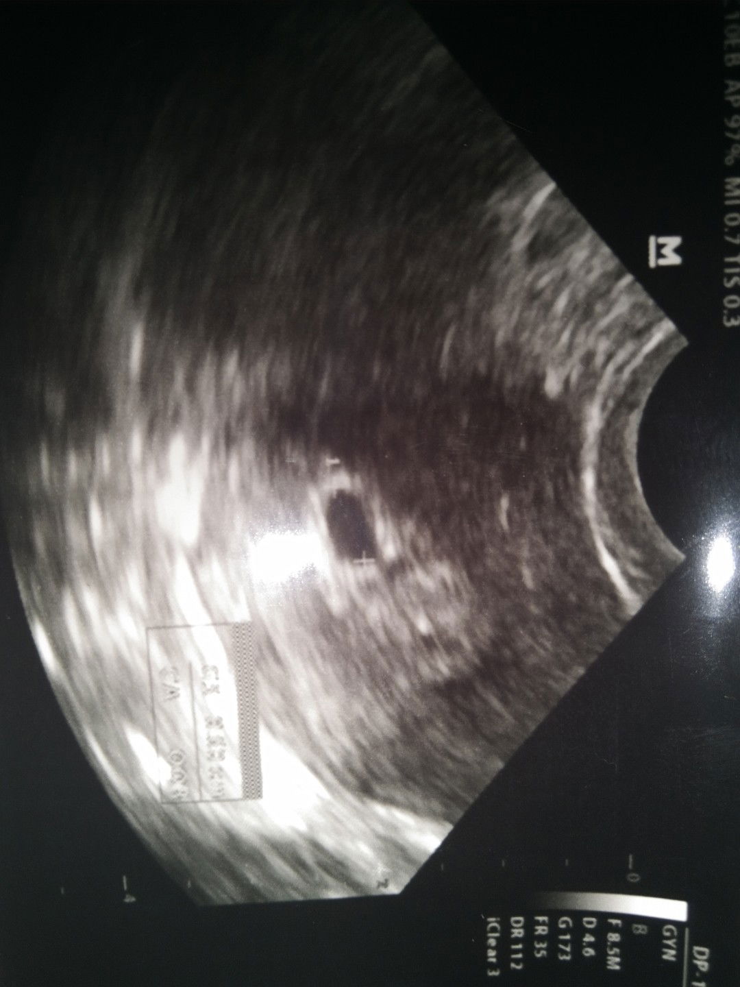 Nia Harani profile icon