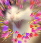 Anggi Priliani Yulianto profile icon