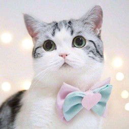 Liany Agustina profile icon