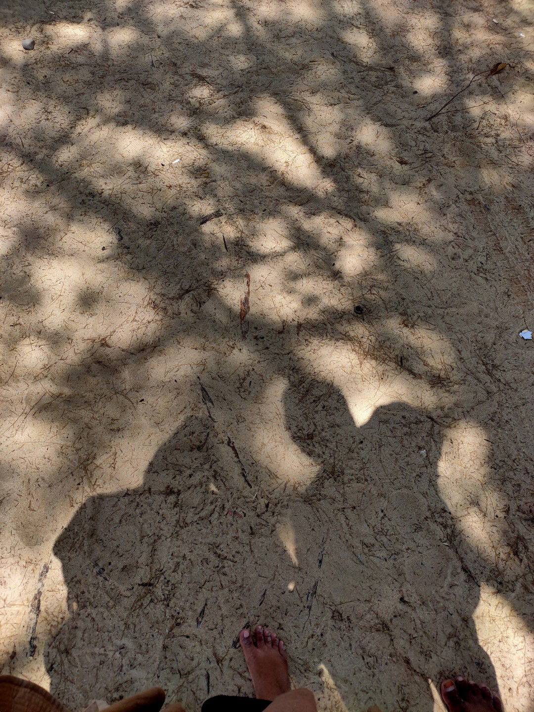 Riska Prasetyowati profile icon