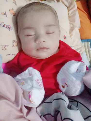 ทีมเดือนพฤศจิกายน