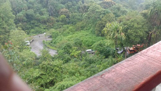 ibu ceria profile icon