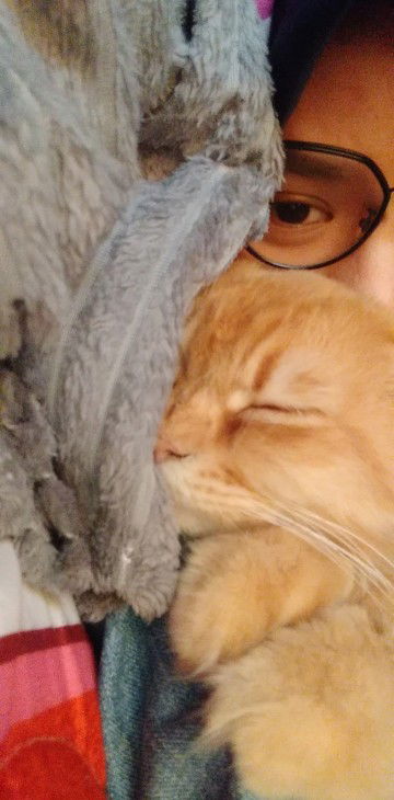 Dayana Jamil profile icon