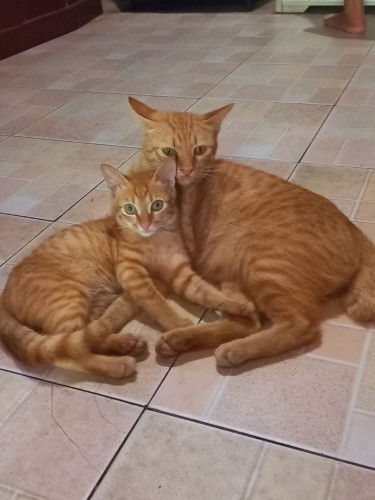 Ruth camy Therecia profile icon