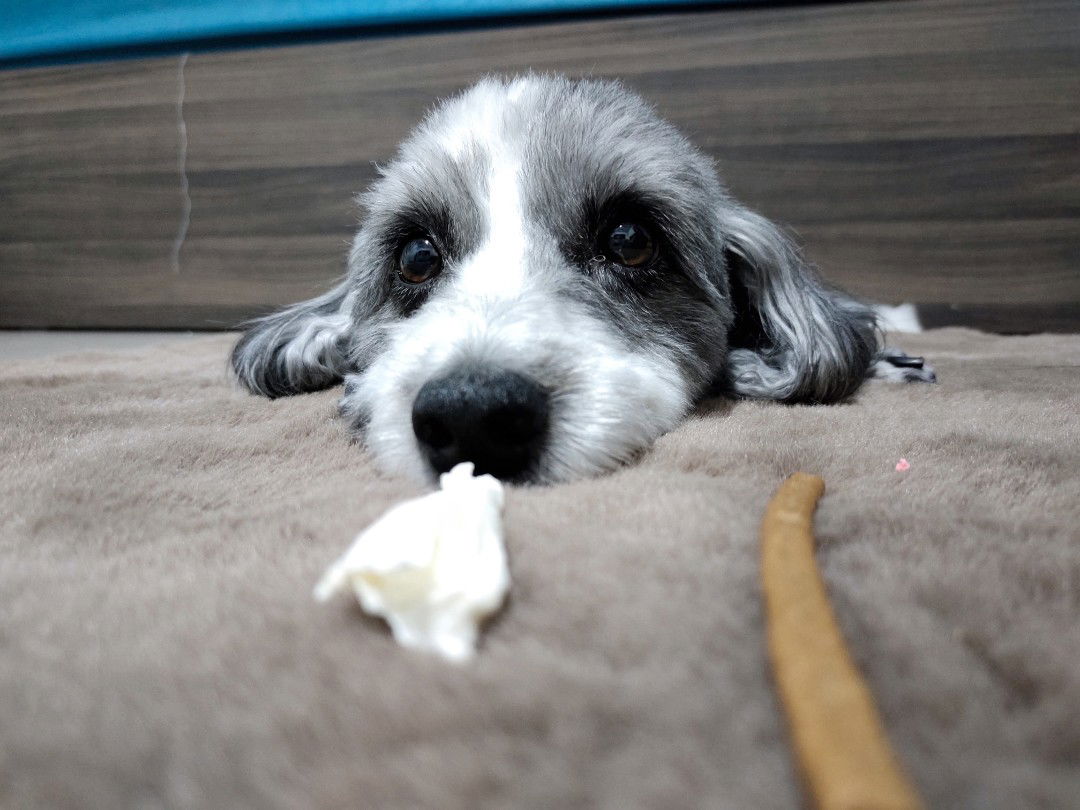 Ms.Wannaya profile icon