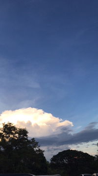 ก๊อตซิล่า น้อย'ยย profile icon