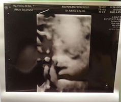 Firci Asmoro profile icon