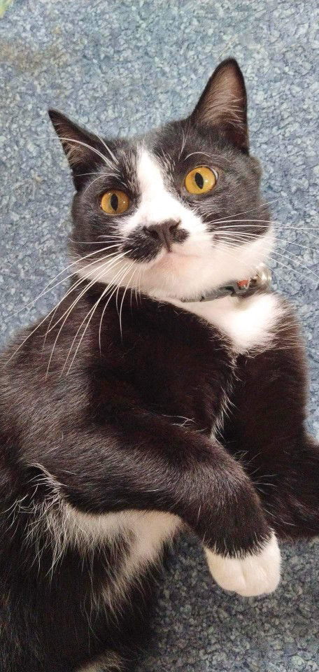 Chonticha Sopitak profile icon