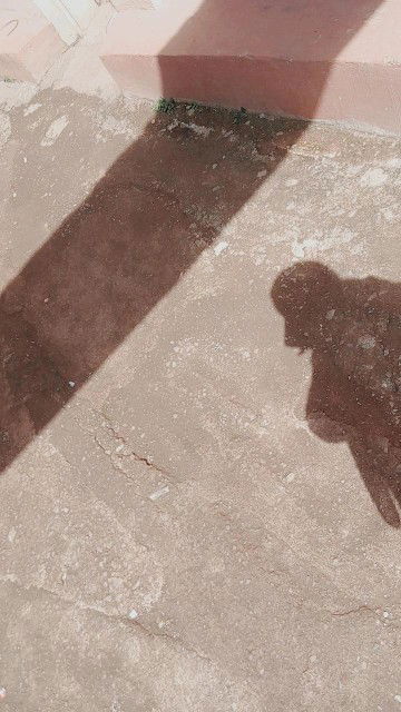 SNJ Alhasanie profile icon