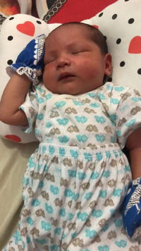 Sha Sha profile icon