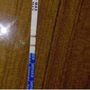 cerita rmh tangga dan kehamilan..