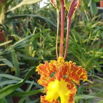 Evi Yuni Fitriana profile icon