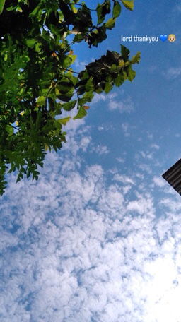 Cha natividad profile icon