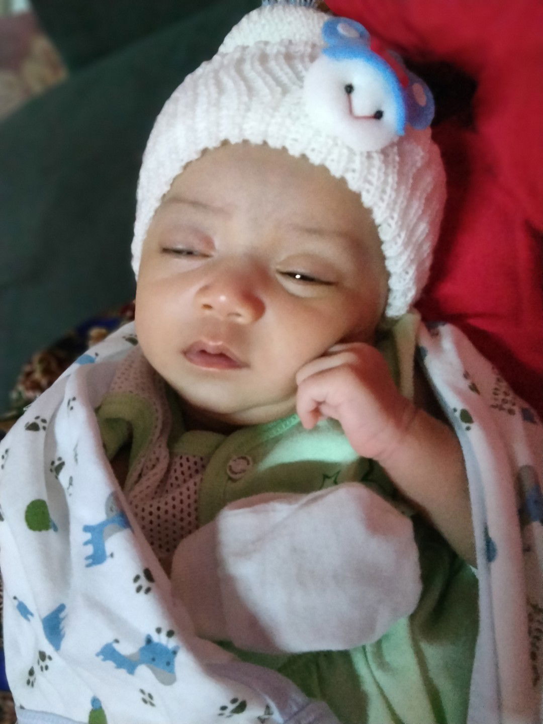 cikjadd profile icon